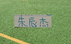 申花定位球战术核心高天意与后防中坚朱辰杰因个人事务延迟归队，引发球迷关注与球队备战节奏调整