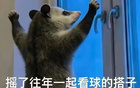 看世界杯会患上“专属病”？多所高校提醒：凌晨3点的比赛很精彩，但你很脆弱